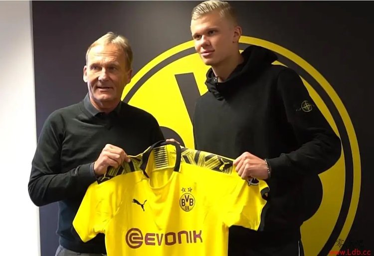 詹姆斯篮板表现抢眼，助球队逆转