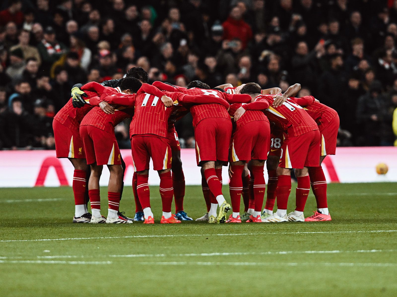 詹姆斯谈NBA杯出局：我不在乎这个，有没有杯赛我都热爱打球